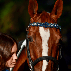 Crystal Horse | Testeira Diamond Azul
