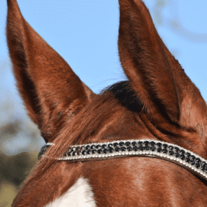 Crystal Horse | Testeira em U