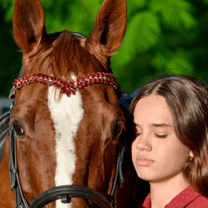 Crystal Horse | Testeira Atena Ruby